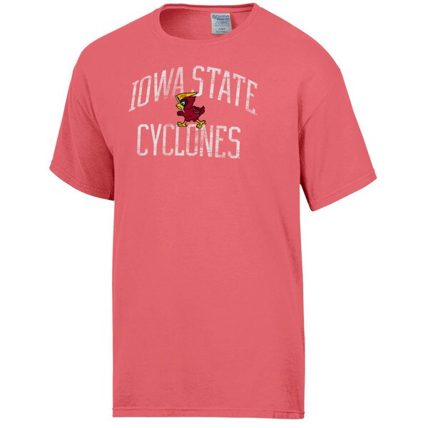 Comfort Wash Pennant Cy Coral Pink Short Sleeve T-Shirt